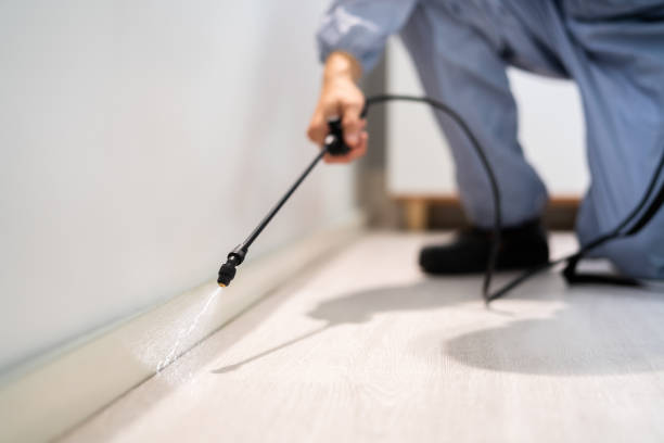 Bed Bug Pre-Treatment Preparation Assessment in Merriam