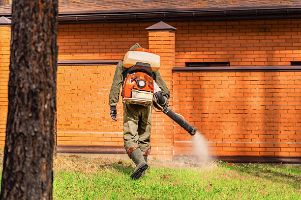 Bed Bug Clearance Verification and Documentation in Merriam